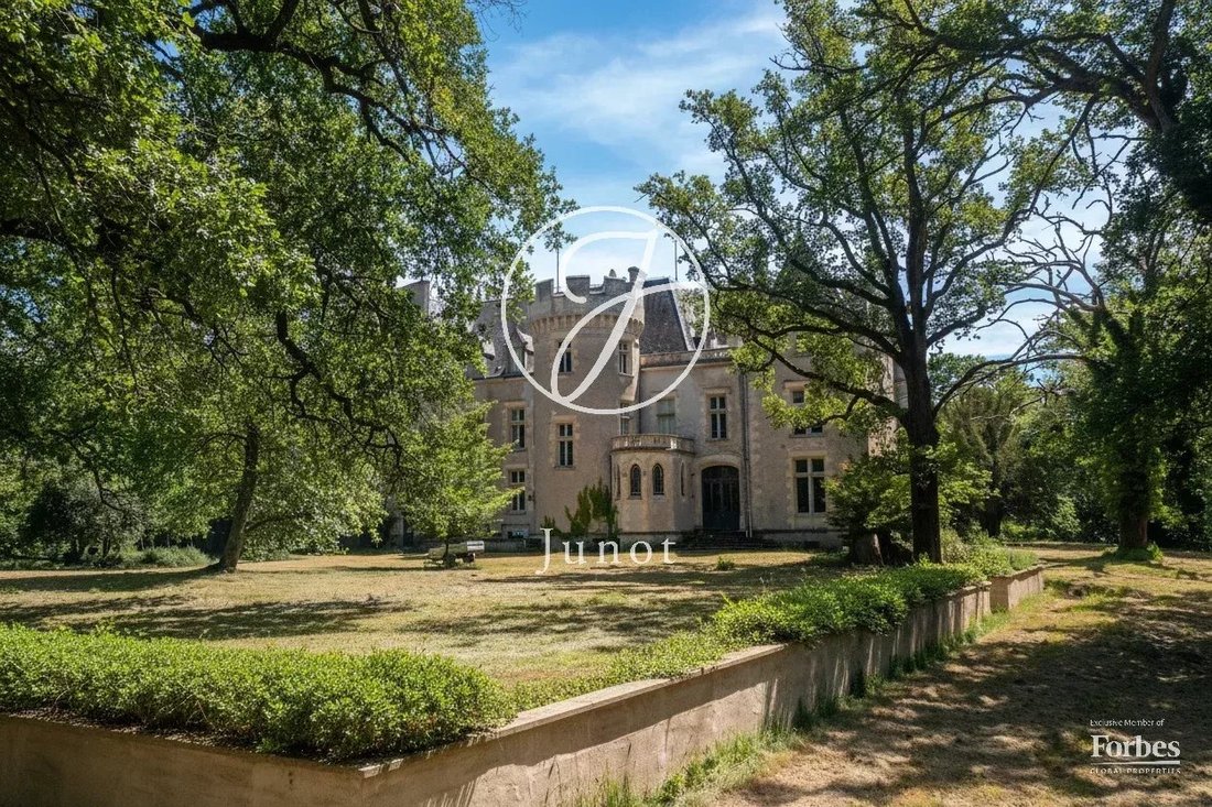 Castle in La Guerche-sur-l'Aubois, Centre-Val de Loire, France 3 - 18038155