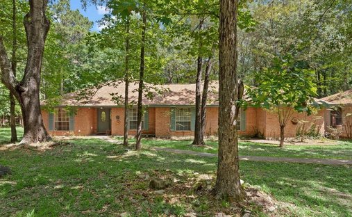 House in Magnolia, Texas, United States 1