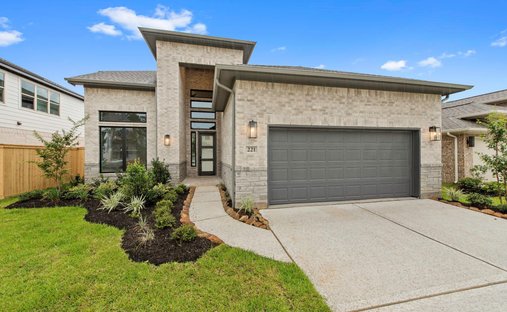 House in Conroe, Texas, United States 1