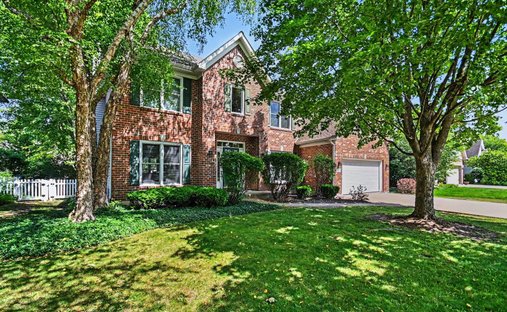 House in Plainfield, Illinois, United States 1