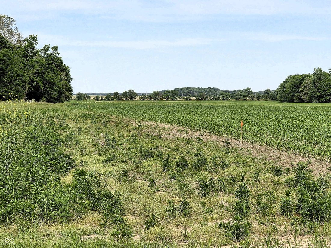 Land in North Salem, Indiana, United States 2 - 18024716