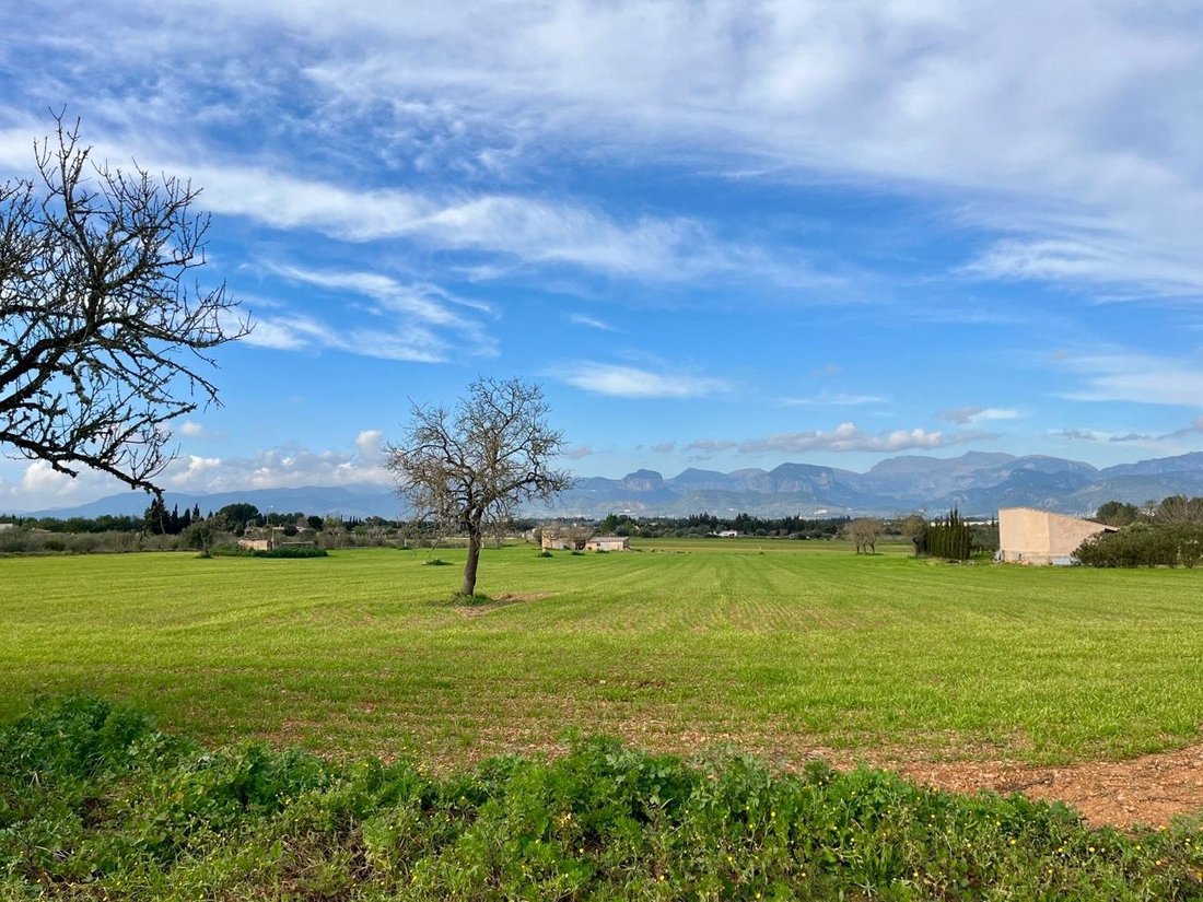 Chalet in Sencelles, Balearic Islands, Spain 4 - 18085269
