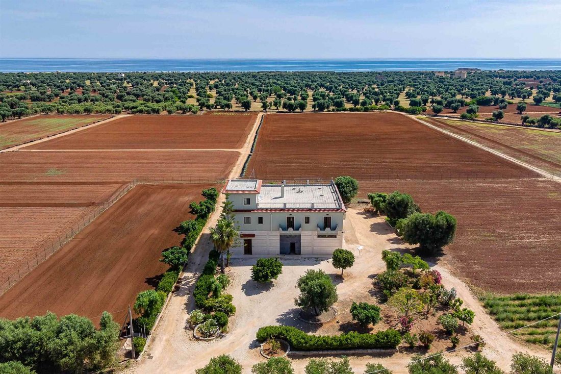 House in Savelletri, Selva di Fasano, Apulia 1 - 18087248