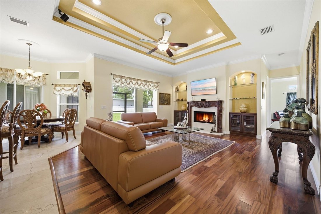 House in Odessa, Florida, United States 4 - 18082538