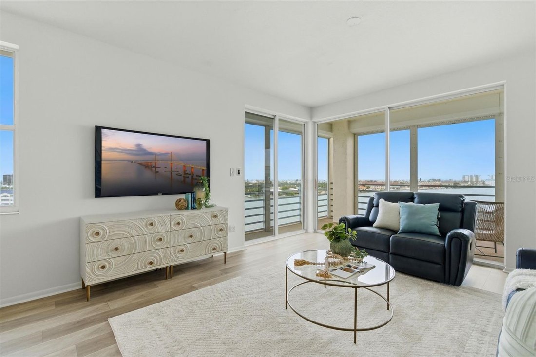 Condo in St. Petersburg, Florida, United States 5 - 18081071