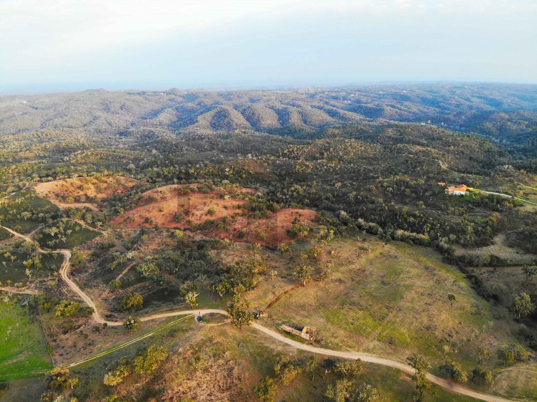 Terrain à Grandola et Santa Margarida da Serra, Setúbal Municipality, Portugal 2 - 18083131