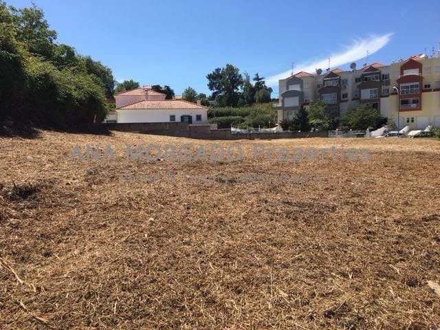 Land in Sintra, Lisbon, Portugal 5 - 18083764