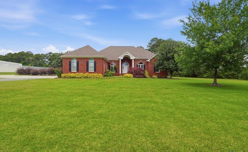 House in Madison, Alabama, United States 1
