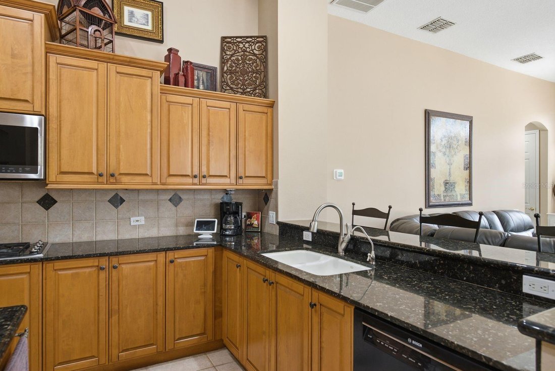 House in Palm Harbor, Florida, United States 5 - 18084998
