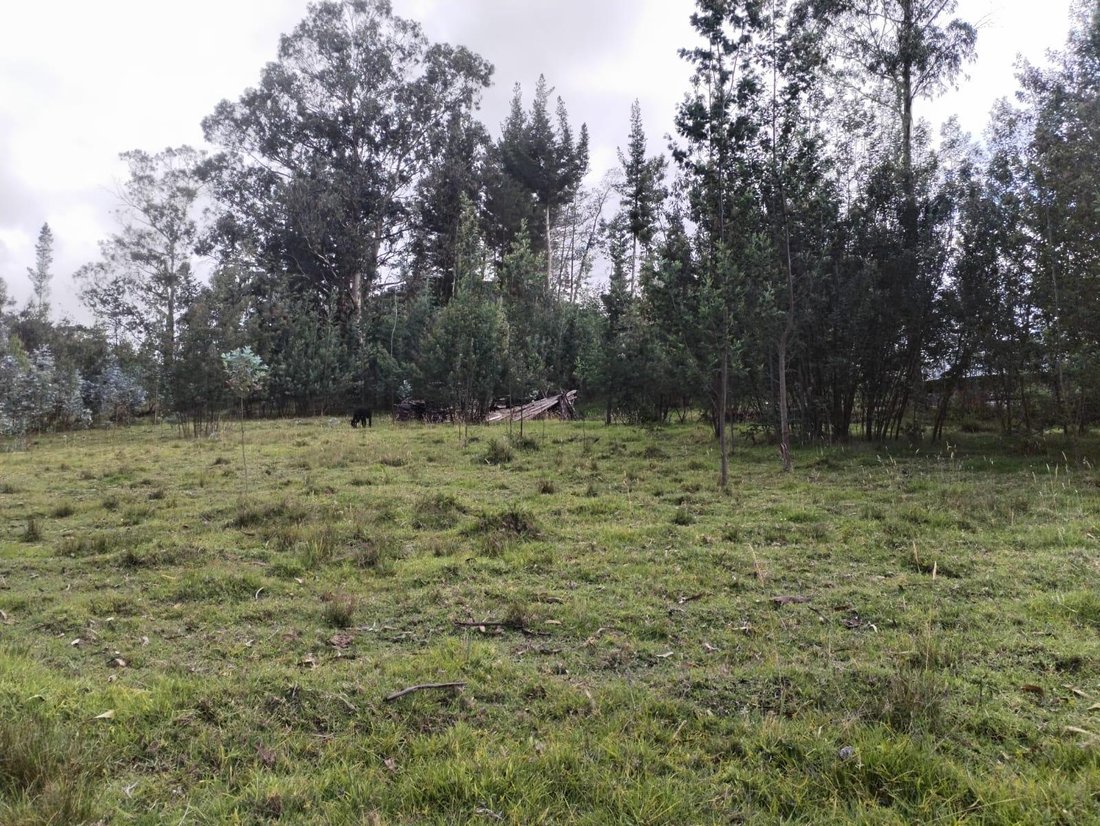 Land in Pifo, Pichincha, Ecuador 3 - 18082749