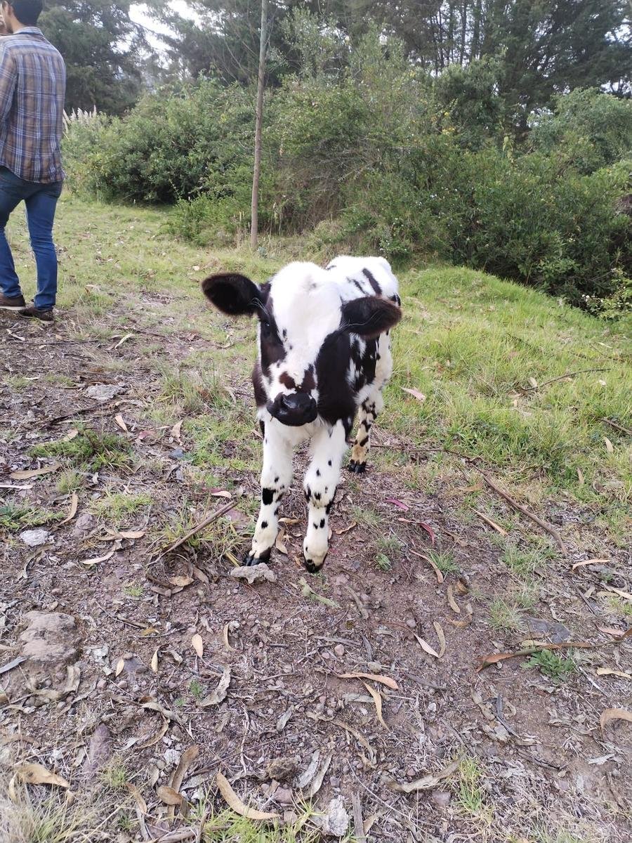 Land in Pifo, Pichincha, Ecuador 5 - 18082749