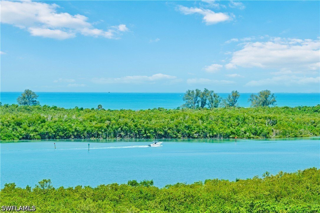 Condo in Bonita Springs, Florida, United States 1 - 18084556