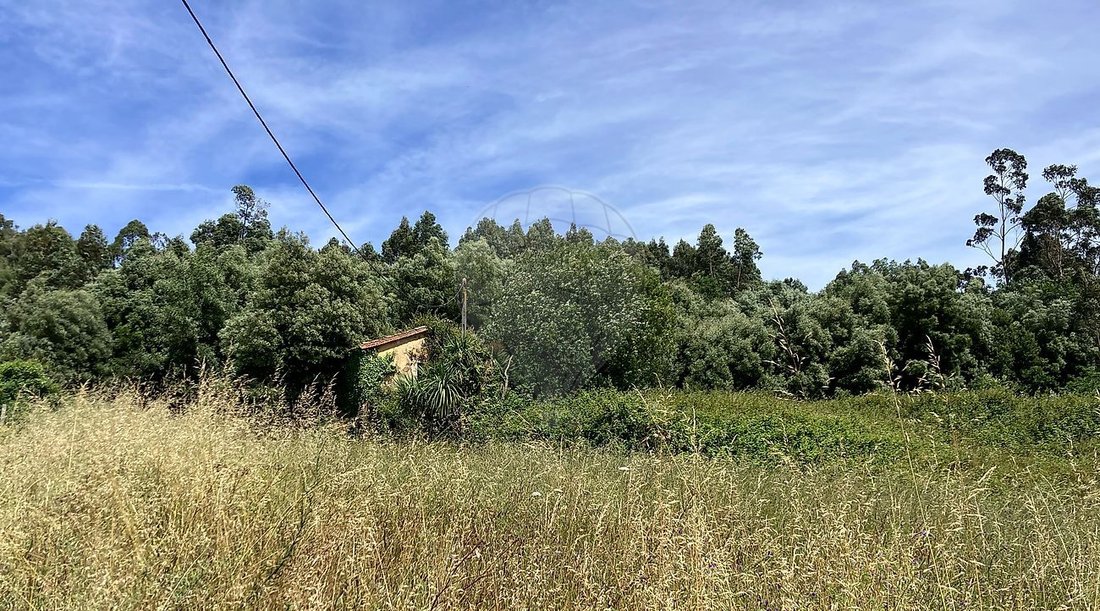 Land in Nogueira da Regedoura, Aveiro District, Portugal 5 - 17896345
