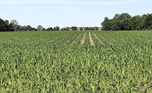 Land in North Salem, Indiana, United States 1