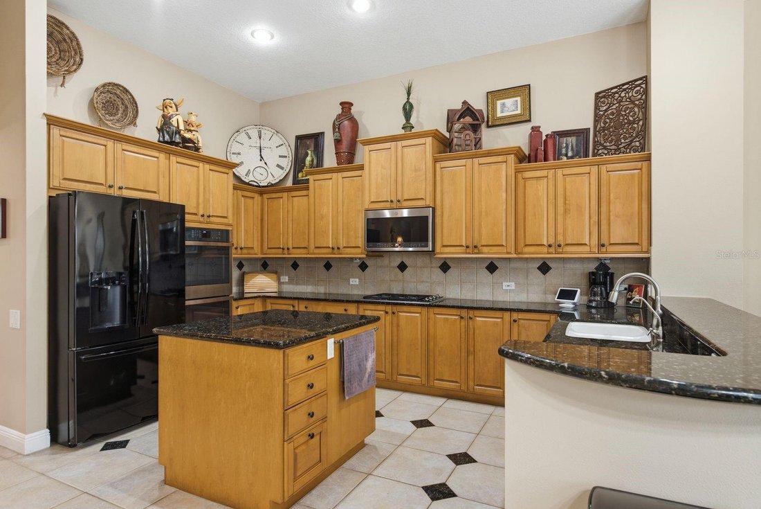 House in Palm Harbor, Florida, United States 4 - 18084998