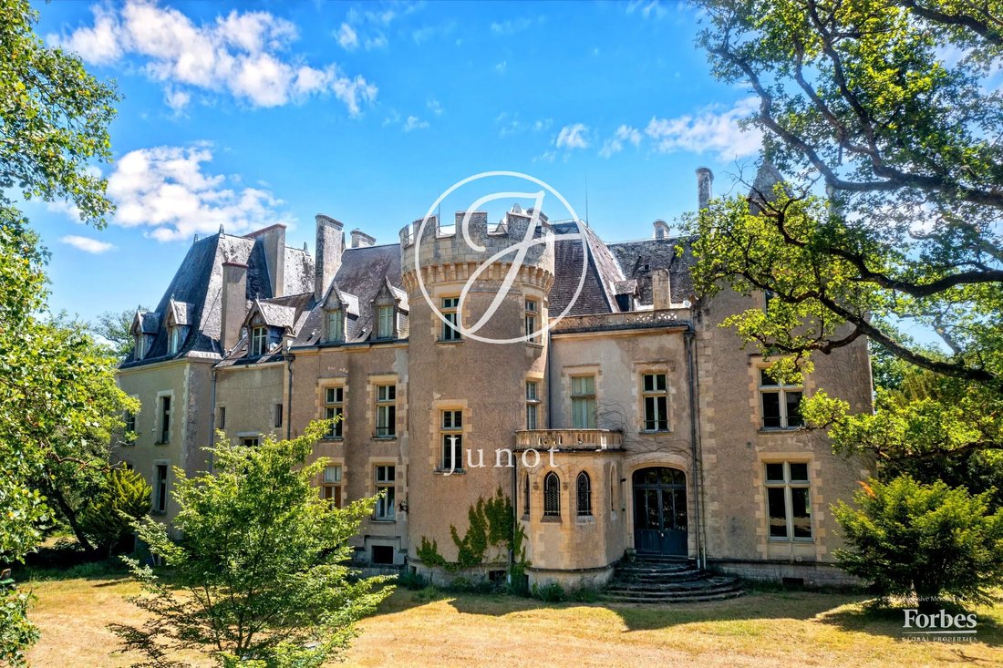 Castle in La Guerche-sur-l'Aubois, Centre-Val de Loire, France 2 - 18038155