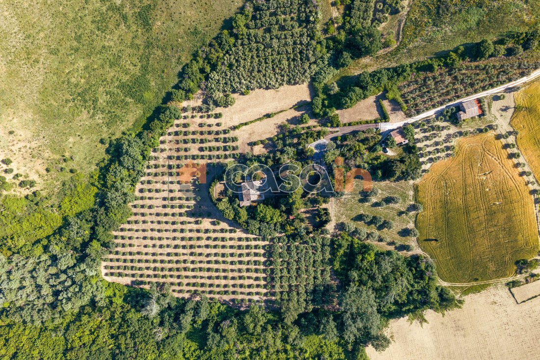 Villa in Acquaviva Picena, Marche, Italy 3 - 17402546