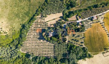 Villa in Acquaviva Picena, Marche, Italy 2