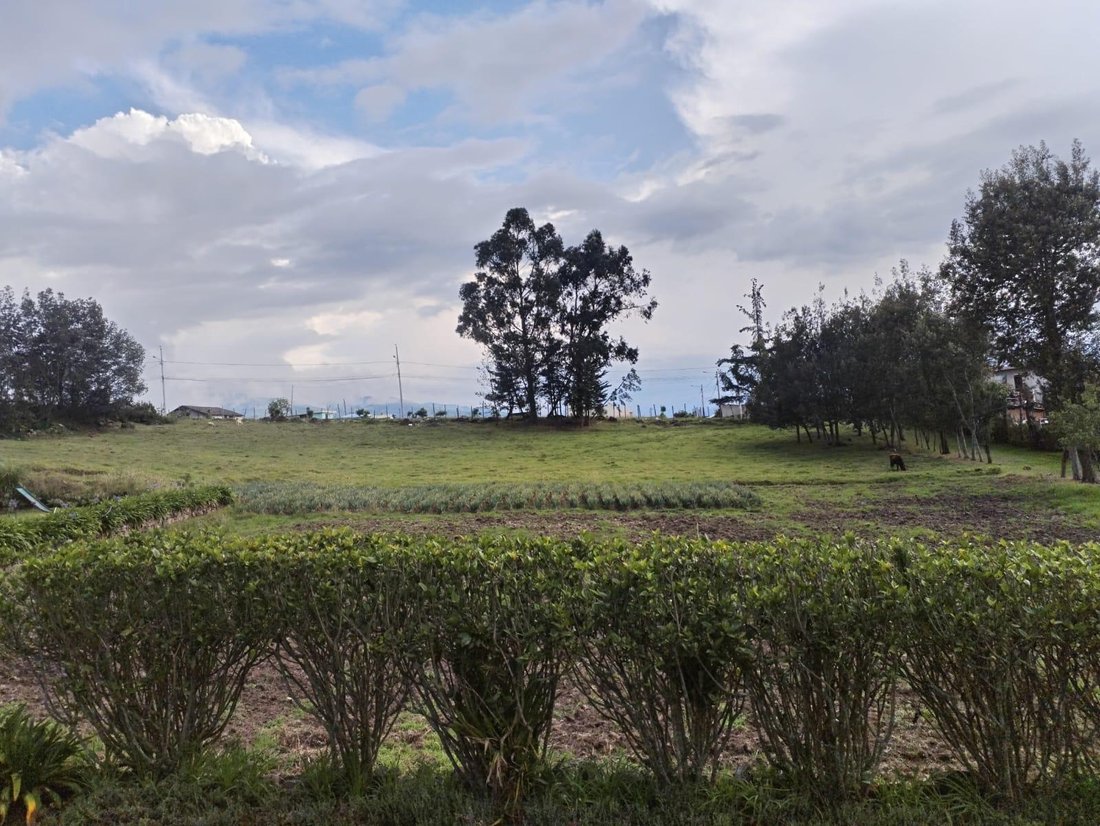 Land in Pifo, Pichincha, Ecuador 4 - 18082749