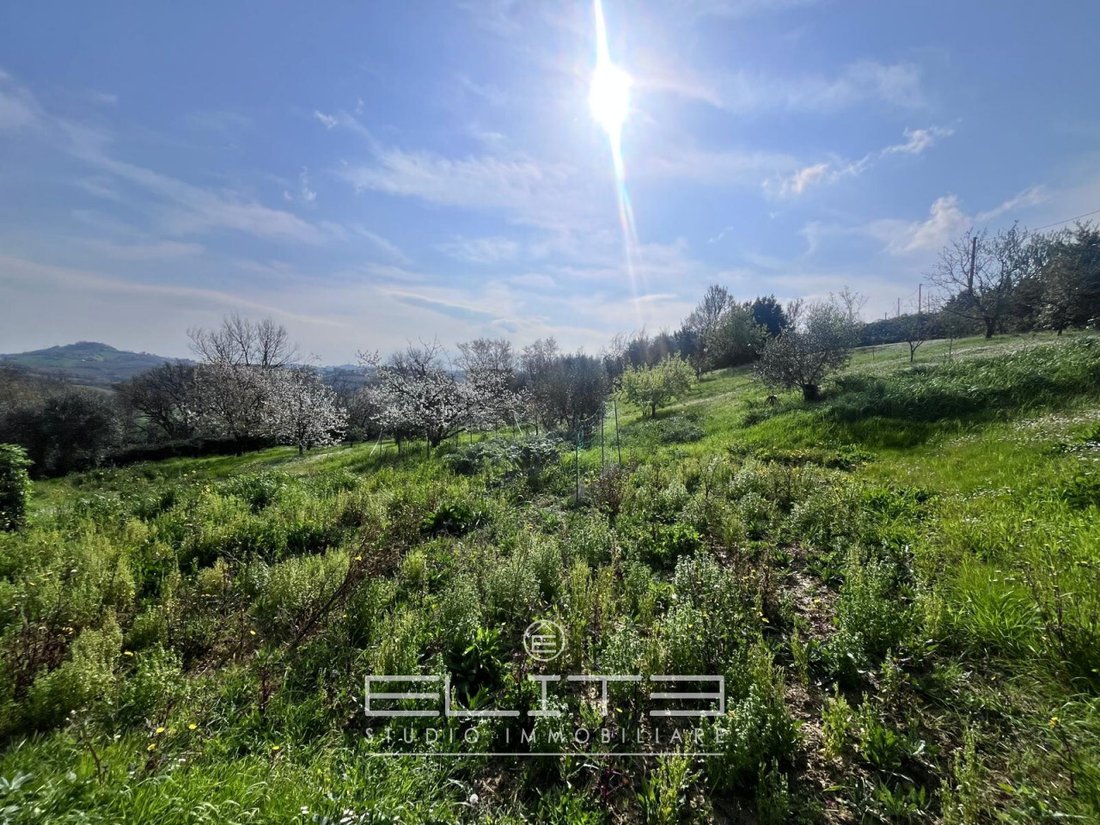 Villa in Agugliano, Marche, Italy 5 - 18077163