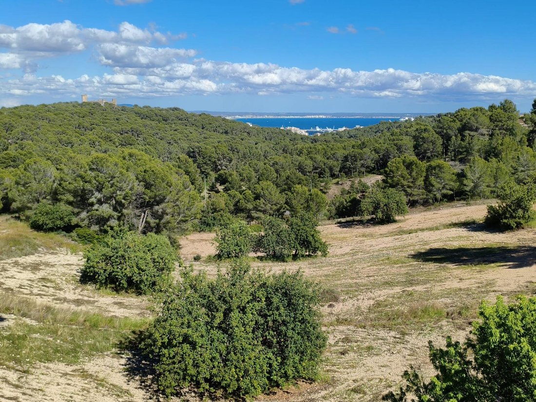 Villa a Gènova, Palma di Maiorca, Isole Baleari 4 - 18081415