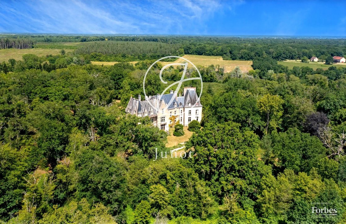 Castle in La Guerche-sur-l'Aubois, Centre-Val de Loire, France 4 - 18038155