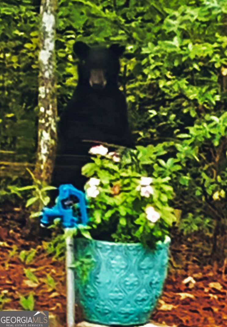 House in Blue Ridge, Georgia, United States 5 - 18044208