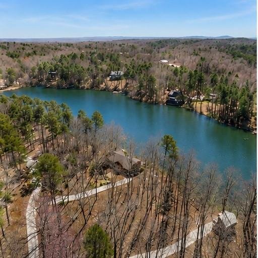House in Cumming, Georgia, United States 3 - 18085766