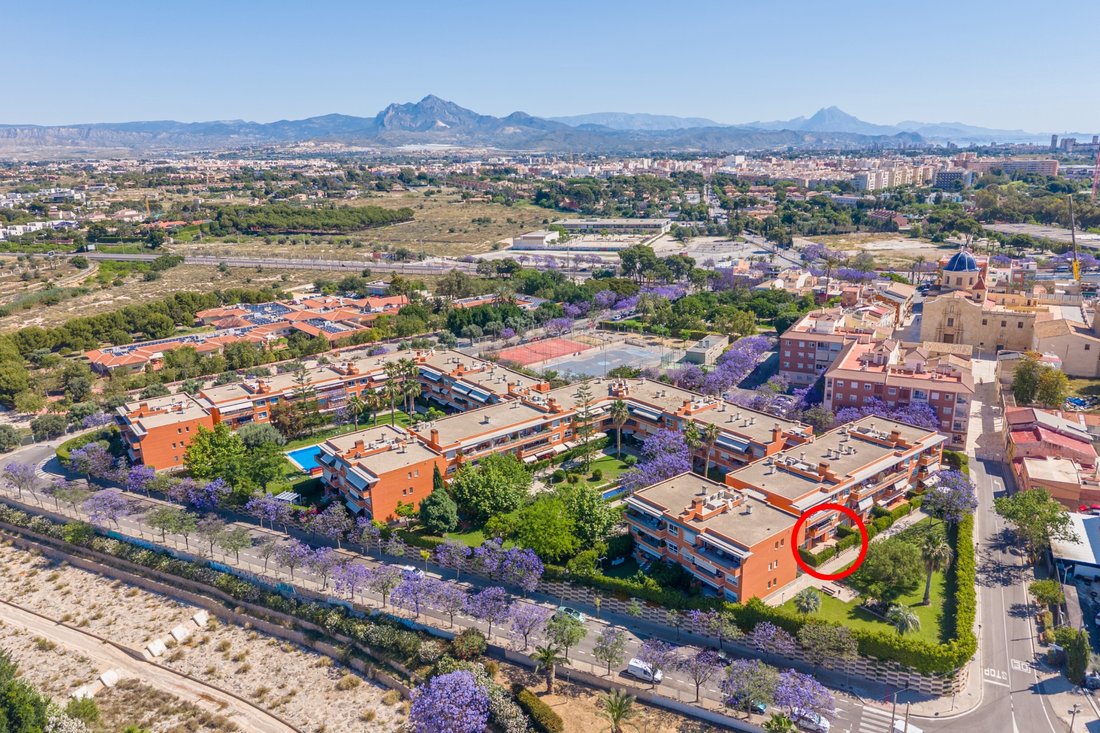 Apartment in Alicante, Valencian Community, Spain 4 - 18083115