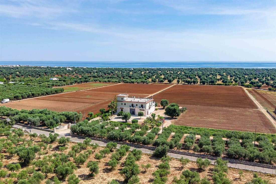 House in Savelletri, Selva di Fasano, Apulia 2 - 18087248