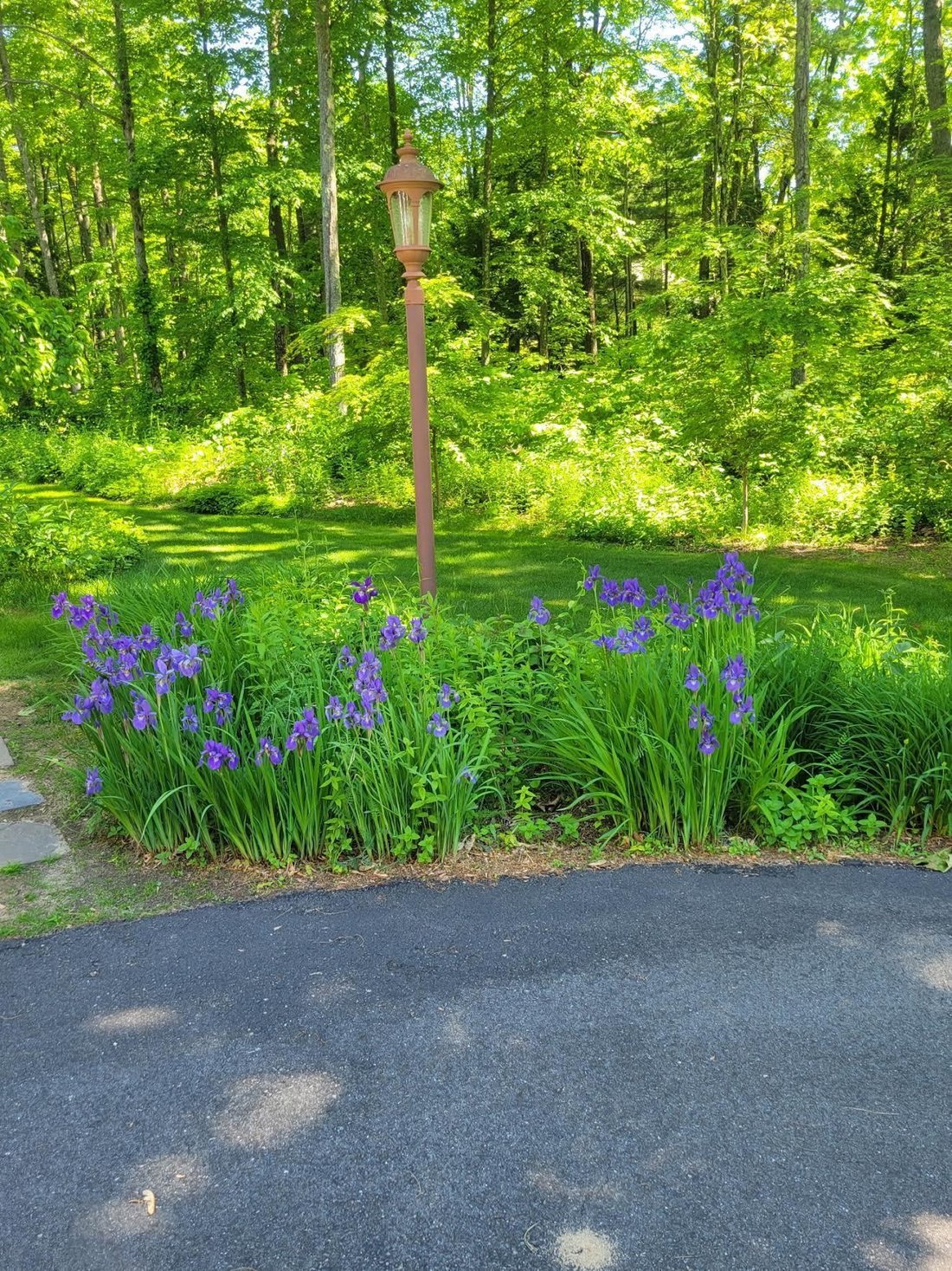 House in Hooksett, New Hampshire, United States 2 - 17911282