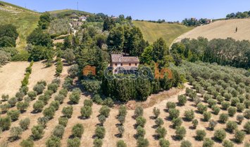 Villa in Acquaviva Picena, Marche, Italy 1