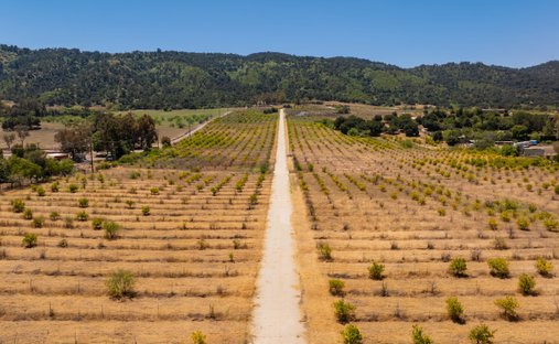 Land in Ojai, California, United States 1