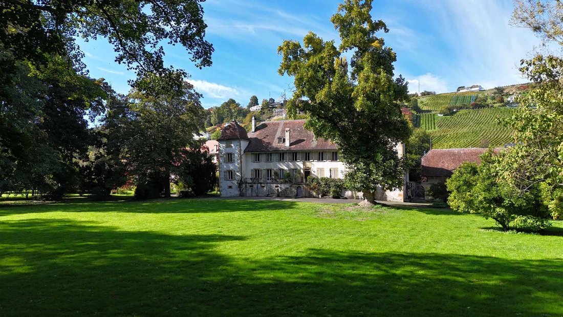 Schloss in Vully-les-Lacs, Waadt, Schweiz 1 - 18081279