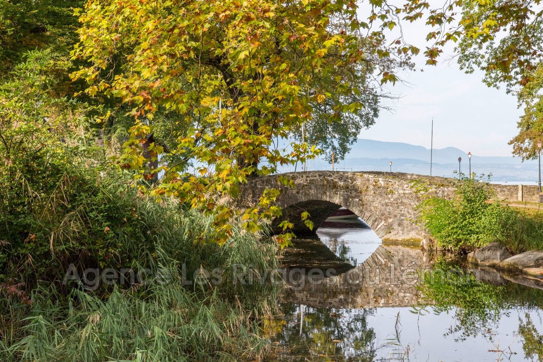Villa in Sciez, Auvergne-Rhône-Alpes, France 2 - 18083308