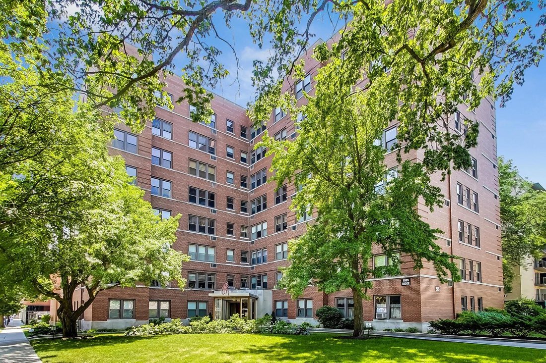 Co Op in Evanston, Illinois, United States 1 - 18086297