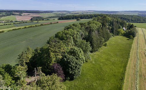Casa a Manternach, Grevenmacher, Lussemburgo 1