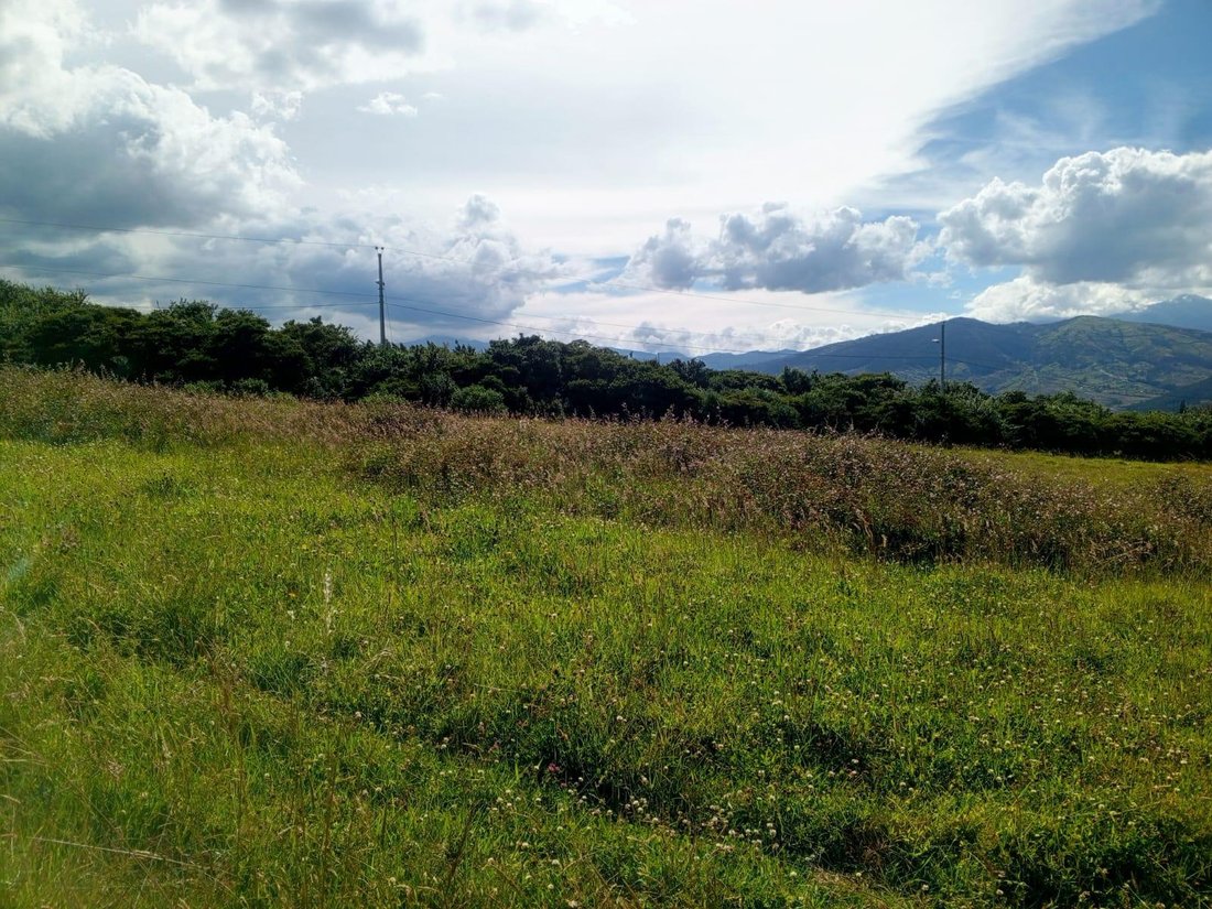 Land in Quito, Pichincha, Ecuador 1 - 18084344