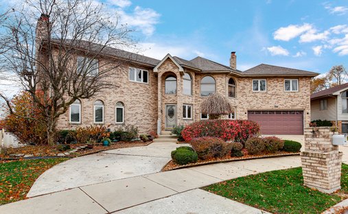 House in Tinley Park, Illinois, United States 1