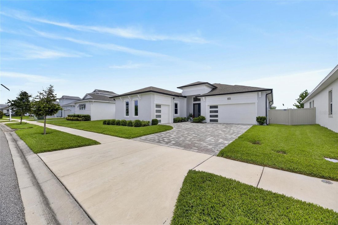 House in Wesley Chapel, Florida, United States 4 - 18088669