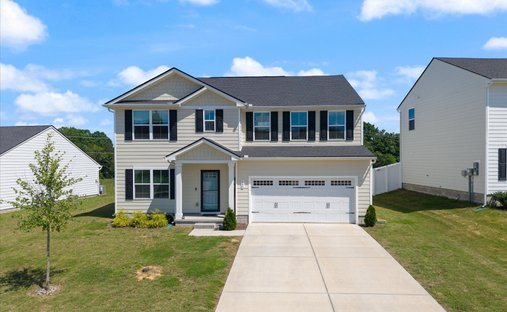 Maison à Smyrna, Tennessee, États-Unis 1