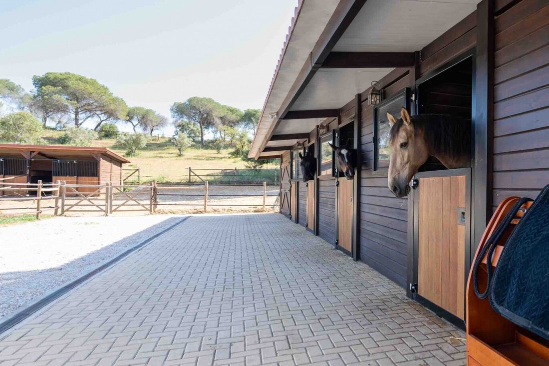 House in Almancil, Algarve, Portugal 4 - 18088219