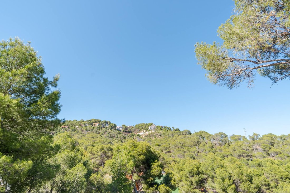 Villa in Naquera / Naquera, Valencian Community, Spain 3 - 18089061