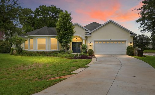 House in Lutz, Florida, United States 1