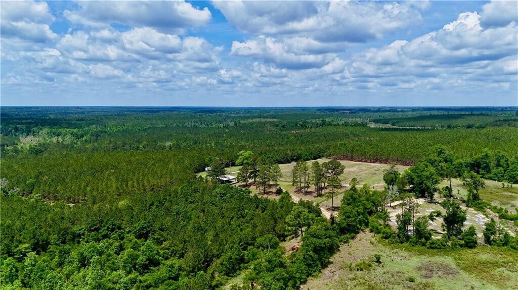 Farm Ranch in Scotland, Georgia, United States 1 - 17923855