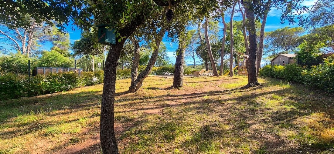Villa in Nord RN, Puget-sur-Argens, France 5 - 18082281