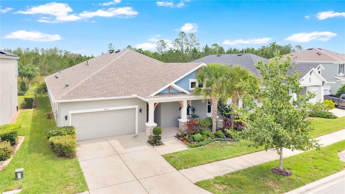 House in Land O' Lakes, Florida, United States 2 - 18085063
