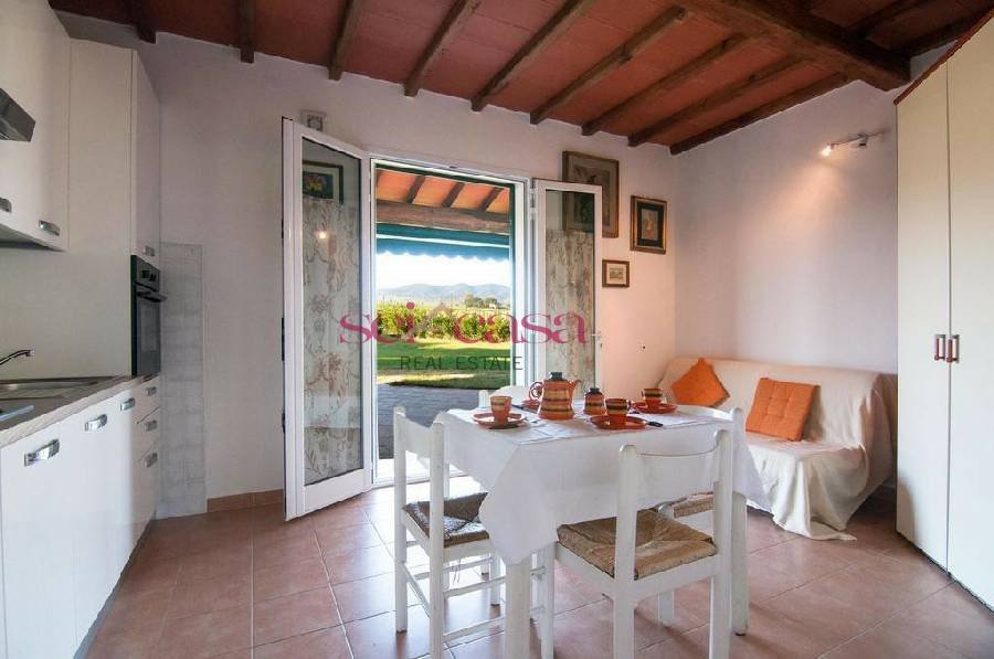 Marrucheto-Rugginosa, Grosseto, Italy 5 - 18087966