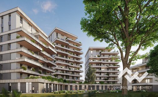 Apartment in Saint Léon, Colmar, France 1
