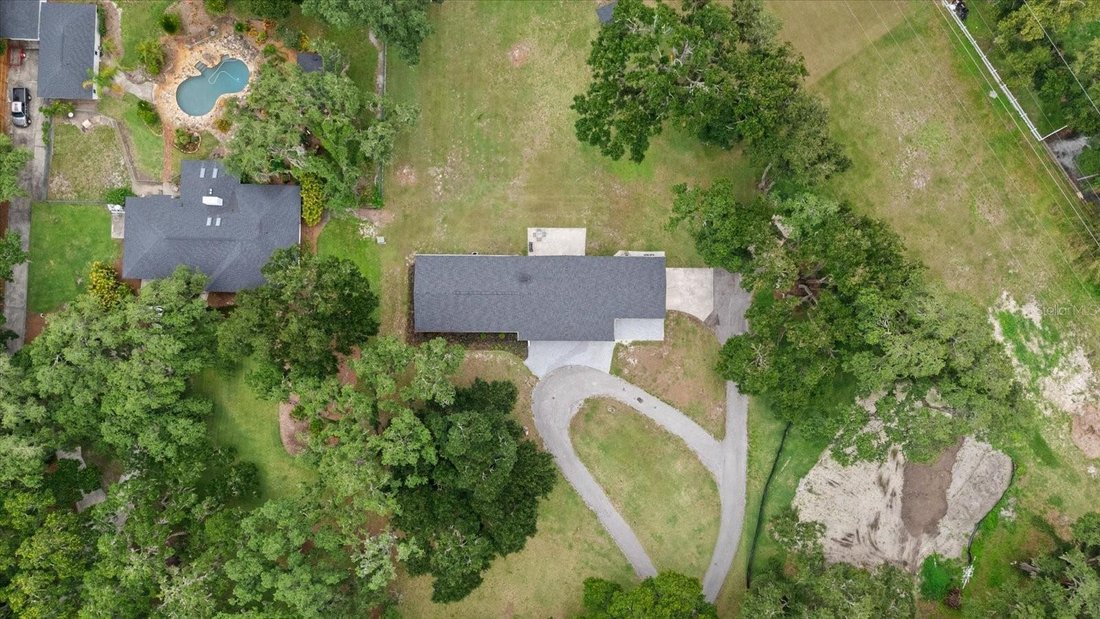 House in Lutz, Florida, United States 3 - 18088670